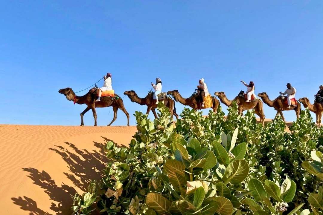2 Days Study Abroad Morocco Desert Tour